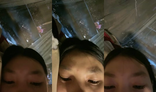 25494758's Live Session — Aug 19, 2026, 5:04 AM