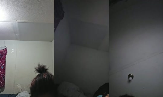 26033448's Live Session — Aug 19, 2026, 1:37 AM