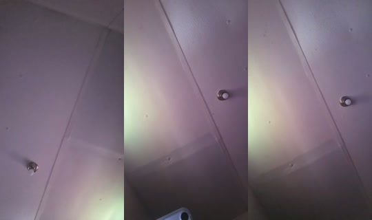 26033448's Live Session — Aug 19, 2026, 7:49 PM