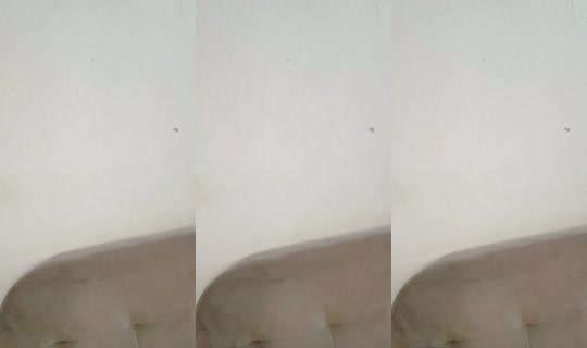 26254153's Live Session — Oct 20, 2026, 4:49 PM