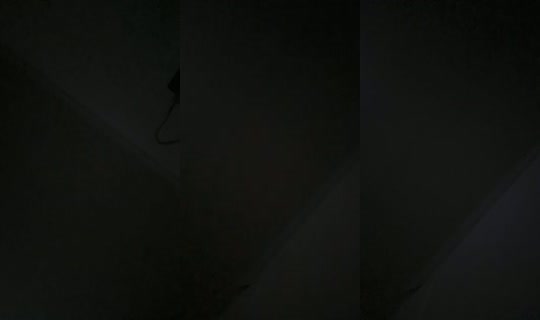 26259329's Live Session — Oct 19, 2026, 2:26 AM