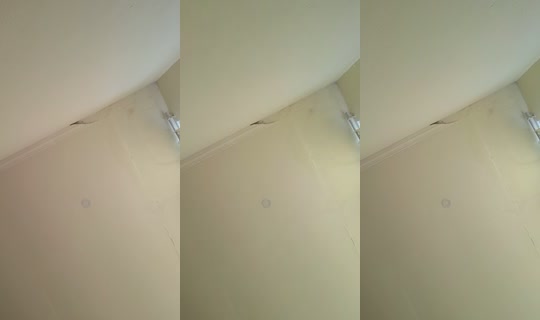 26259329's Live Session — Oct 19, 2026, 12:26 PM