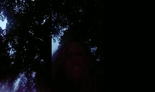 26668639's Live Session — Jul 28, 2026, 1:10 AM