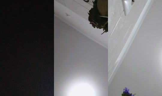 27152356's Live Session — Sep 23, 2026, 6:09 AM