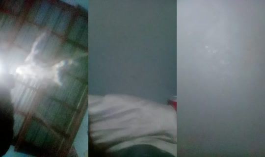 27509811's Live Session — Jul 28, 2026, 1:33 AM