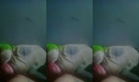 27513707's Live Session — Sep 11, 2026, 2:28 PM