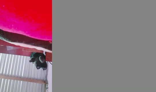 27769078's Live Session — Jul 27, 2026, 12:23 AM