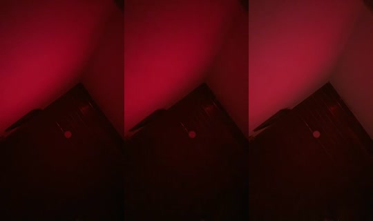 27813113's Live Session — Jul 27, 2026, 6:31 AM