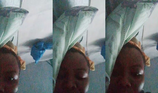 28078758's Live Session — Jul 27, 2026, 6:38 AM