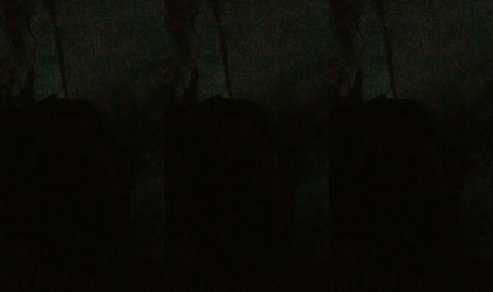 28078758's Live Session — Jul 31, 2026, 3:37 AM