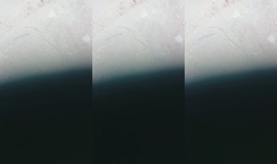 28129702's Live Session — Sep 17, 2026, 12:09 PM