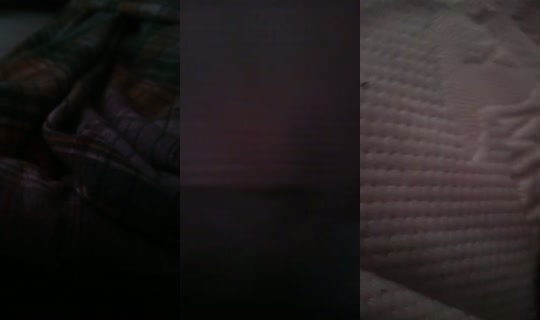 28203924's Live Session — Aug 24, 2026, 4:19 AM