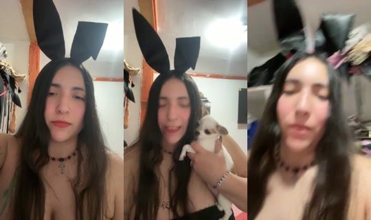 28417749's Live Session — Aug 31, 2026, 1:44 AM