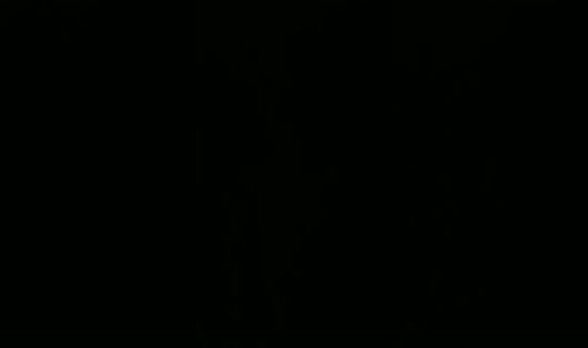 28983045's Live Session — Sep 10, 2026, 3:41 AM