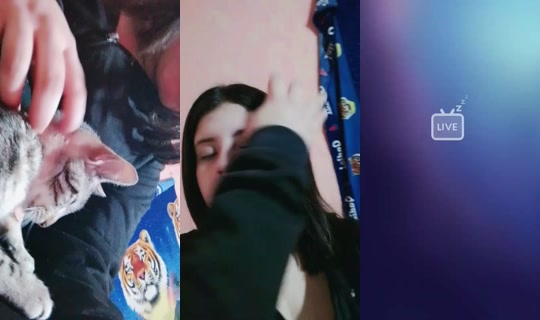 29134966's Live Session — Sep 12, 2026, 11:09 PM