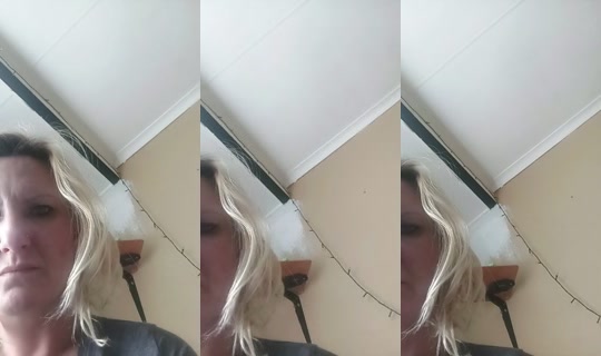 29198217's Live Session — Sep 8, 2026, 7:23 AM