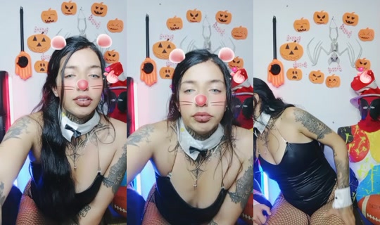 29257833's Live Session — Oct 16, 2026, 10:54 PM