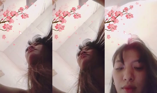 29257955's Live Session — Oct 16, 2026, 11:31 PM