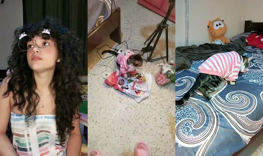 29329312's Live Session — Jul 26, 2026, 10:08 PM