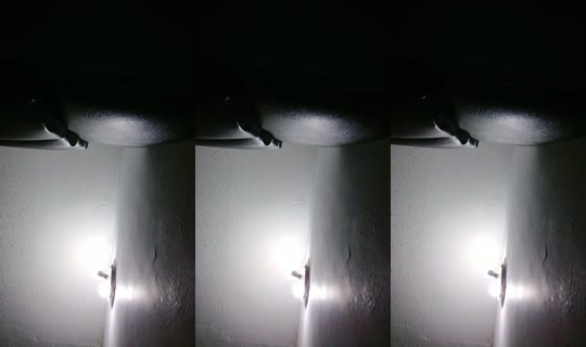 29395525's Live Session — Jul 27, 2026, 1:33 AM