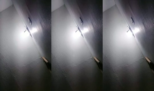 29395525's Live Session — Jul 27, 2026, 11:29 PM