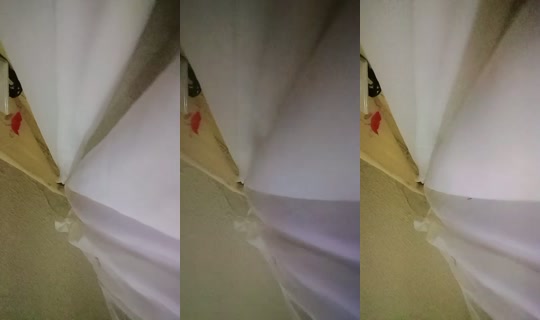 29395525's Live Session — Jul 30, 2026, 2:06 AM