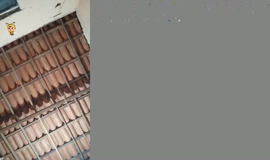 29767816's Live Session — Oct 19, 2026, 10:09 PM