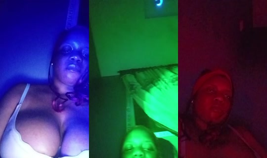 29820313's Live Session — Sep 21, 2026, 11:54 PM