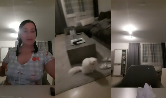 30268090's Live Session — Oct 20, 2026, 8:39 PM