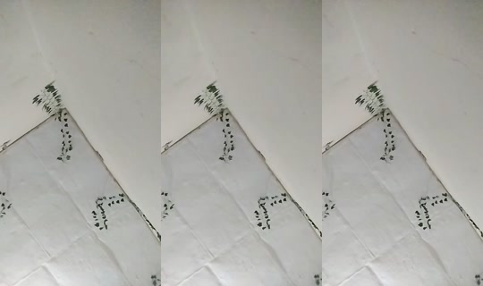 30297405's Live Session — Jul 28, 2026, 12:44 AM