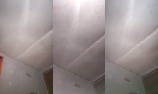 30639570's Live Session — Aug 7, 2026, 12:47 AM