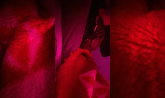 30703645's Live Session — Oct 19, 2026, 11:42 PM