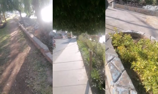 30748876's Live Session — Jul 28, 2026, 1:23 PM