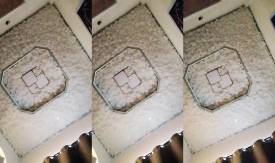 31298573's Live Session — Aug 11, 2026, 3:46 AM