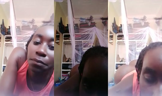 31364478's Live Session — Sep 5, 2026, 12:52 PM