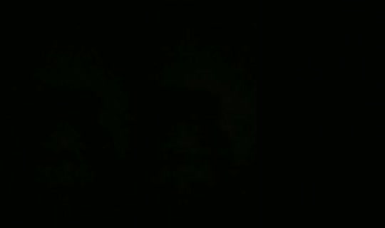 31365256's Live Session — Oct 14, 2026, 5:04 AM