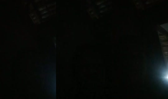 31365256's Live Session — Oct 15, 2026, 3:09 AM