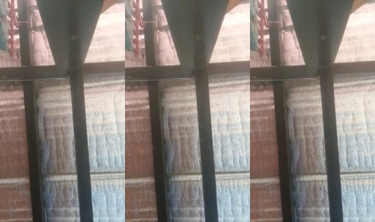 31479751's Live Session — Jul 28, 2026, 7:22 AM