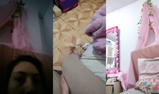 31753201's Live Session — Jul 24, 2026, 7:13 AM