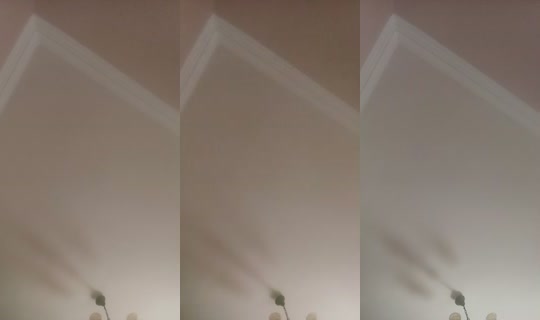 31805449's Live Session — Jul 26, 2026, 12:26 PM