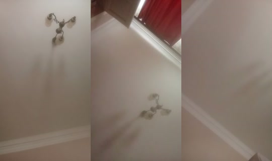 31805449's Live Session — Jul 26, 2026, 12:56 PM