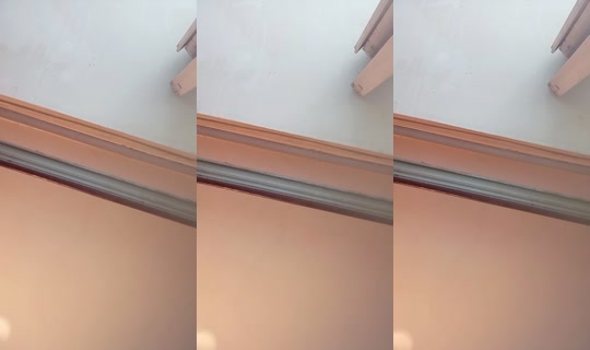 31805449's Live Session — Sep 22, 2026, 12:27 PM