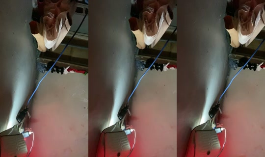 31895532's Live Session — Aug 19, 2026, 4:51 AM