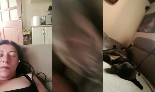 32098482's Live Session — Jul 20, 2026, 11:27 AM