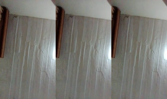 32170184's Live Session — Jul 29, 2026, 11:36 PM