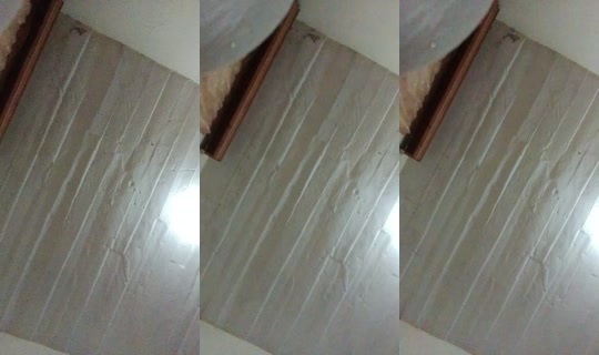 32170184's Live Session — Jul 31, 2026, 8:55 PM