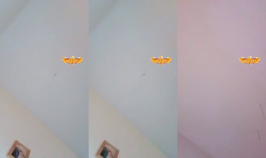 32229633's Live Session — Oct 19, 2026, 12:09 AM