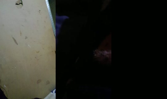 32240666's Live Session — Oct 2, 2026, 11:56 PM