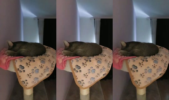 32329537's Live Session — Jul 27, 2026, 2:08 PM