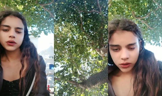 32332414's Live Session — Jul 18, 2026, 6:54 PM
